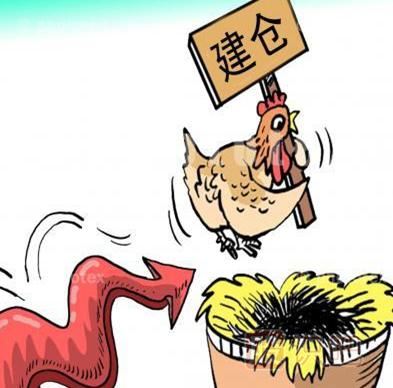 股市周期運行中的底部區