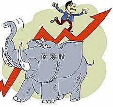 藍籌股是什么意思？