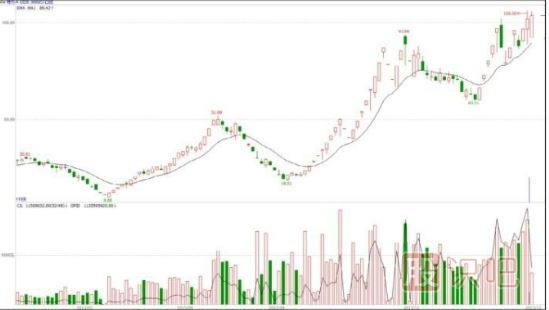 什么是基金主力機構，什么是游資莊